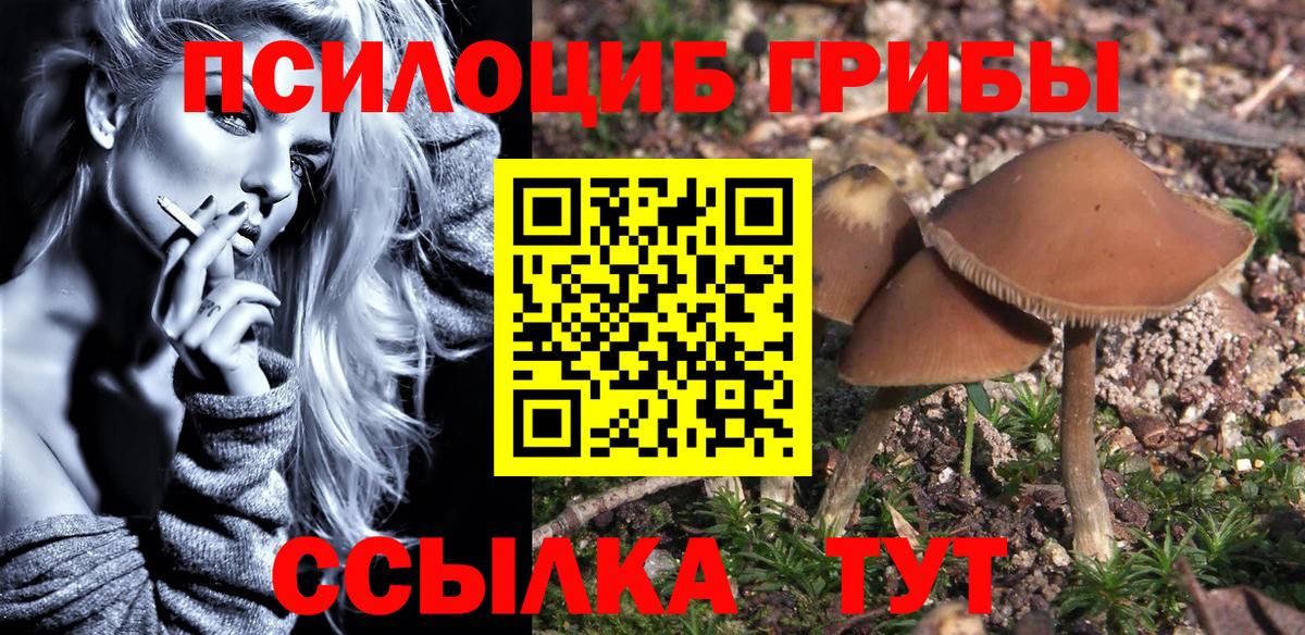 Псилоцибиновые грибы мухоморы Конаково