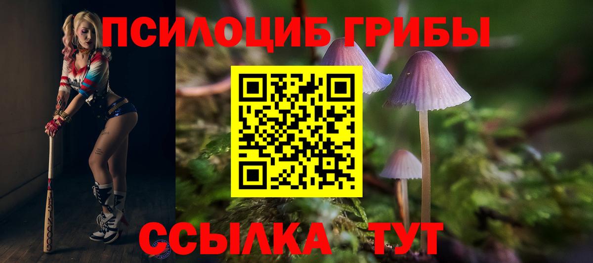 Псилоцибиновые грибы Psilocybine cubensis  Псилоцибиновые грибы Cubensis  Конаково  Вход с VPN 